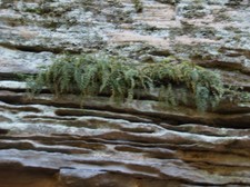 Enlarge photo 90