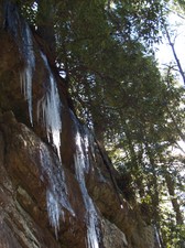 Enlarge photo 92