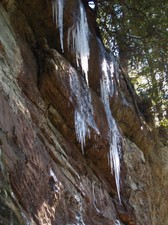 Enlarge photo 93