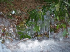Enlarge photo 97