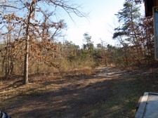 Enlarge photo 104