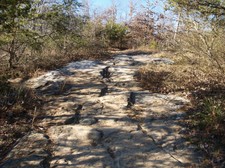 Enlarge photo 105