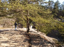 Enlarge photo 106