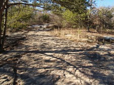 Enlarge photo 108