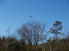 Enlarge photo 111