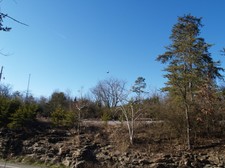 Enlarge photo 112