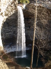 Enlarge photo 116