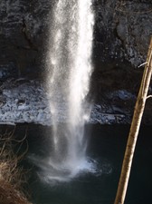 Enlarge photo 119