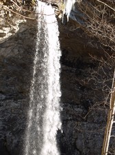 Enlarge photo 120