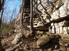Enlarge photo 122