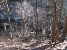 Enlarge photo 123