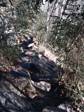 Enlarge photo 126