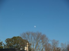 Enlarge photo 129