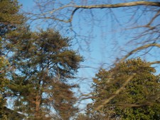 Enlarge photo 132