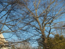 Enlarge photo 133