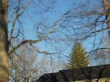 Enlarge photo 134
