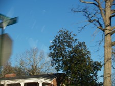 Enlarge photo 135