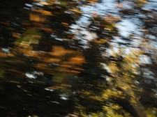 Enlarge photo 139