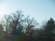 Enlarge photo 138