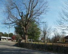 Enlarge photo 30