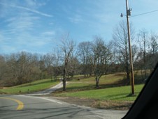 Enlarge photo 33