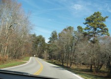 Enlarge photo 35