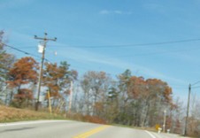 Enlarge photo 39