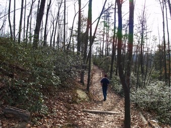Enlarge photo 5