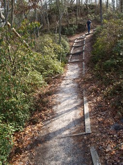 Enlarge photo 11