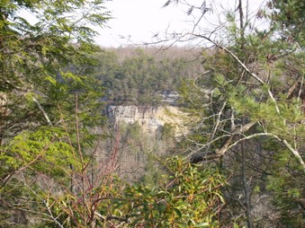 Enlarge photo 13