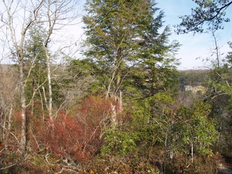 Enlarge photo 14