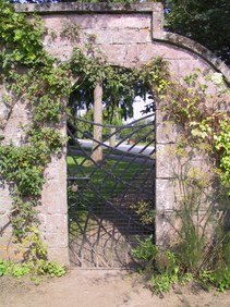 Enlarge photo 191