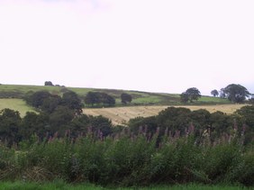 Enlarge photo 30