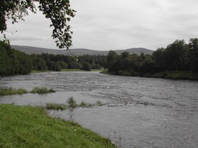 Enlarge photo 32