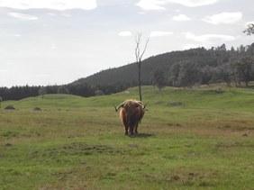 Enlarge photo 34