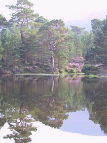 Enlarge photo 46