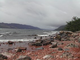 Enlarge photo 50