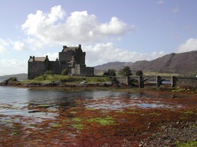Enlarge photo 62