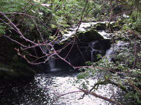 Enlarge photo 82
