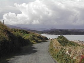 Enlarge photo 89