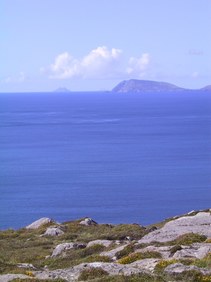 Enlarge photo 99