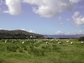 Enlarge photo 102