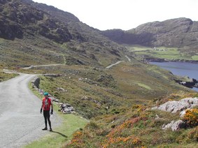 Enlarge photo 104