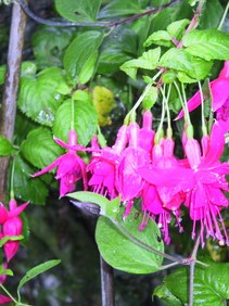 Enlarge photo 120