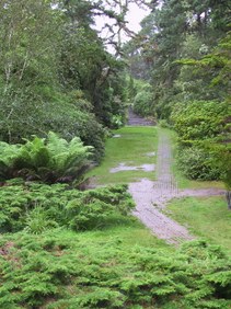 Enlarge photo 126