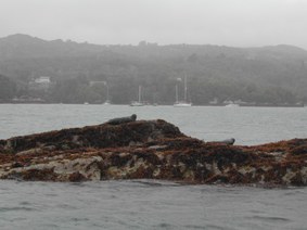 Enlarge photo 127