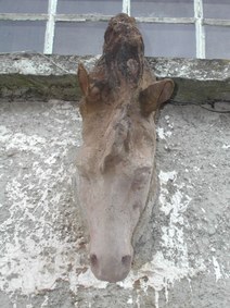 Enlarge photo 145