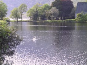 Enlarge photo 159