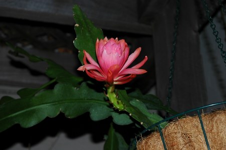 Enlarge photo 2