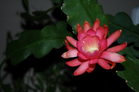 Enlarge photo 3